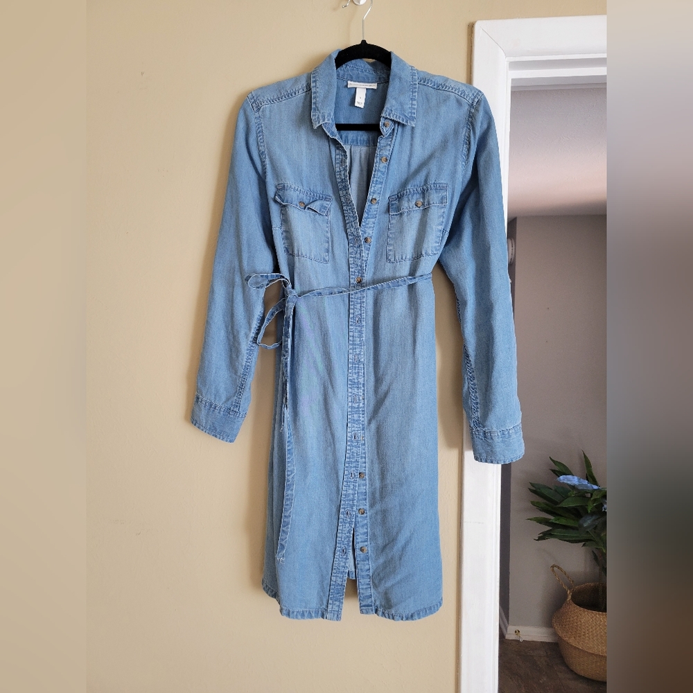 Liz Lange not-so-Maternity Dress